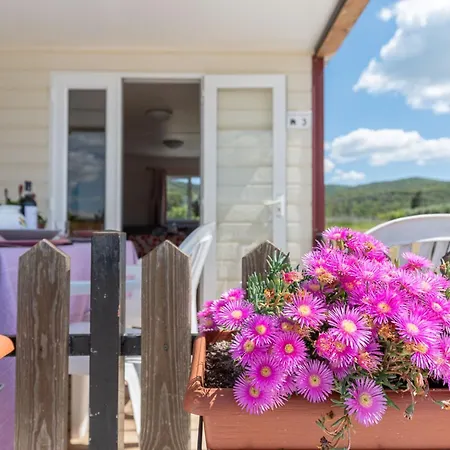 Tatil Evi I Girasoli By Interhome Scarlino